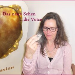 01-Voice-RAhmen