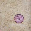 Light Violet (lichtpaars/licht violet) Transformatie - Afbeelding 4