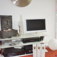 Siegel-weißer-Fernseher