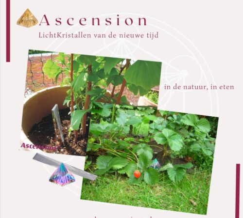 AScension-in de natur