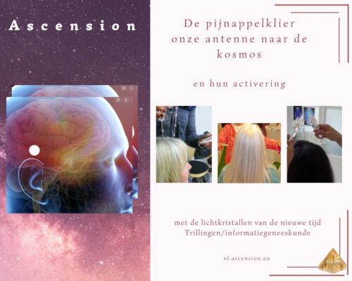 ascension-pijnappelklier