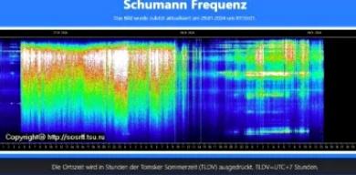 SChumann-Freqnez