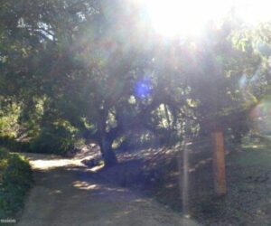 Ascension-Portugal-1-400x350