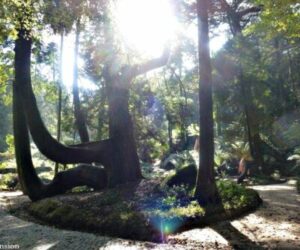 Ascension-Portugal-3-400x350