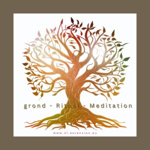 Ascension-Website-Seminare - 10