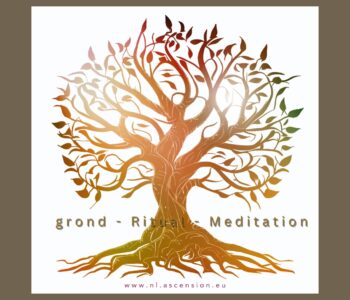 Ascension-Website-Seminare - 10
