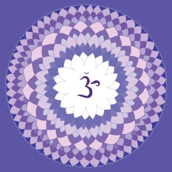 Krone-violet-1340083-scaled-350x350