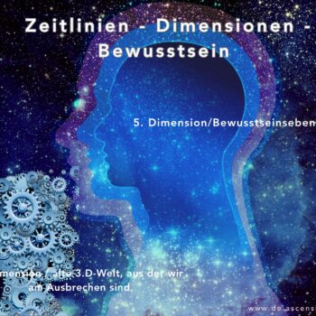 Teitlinien-August-2025-II-350x350 AUG