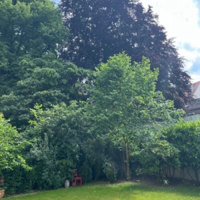 Zwischen-den-Welten-0-500x500 Zwischen-den-Welten-0-500x500