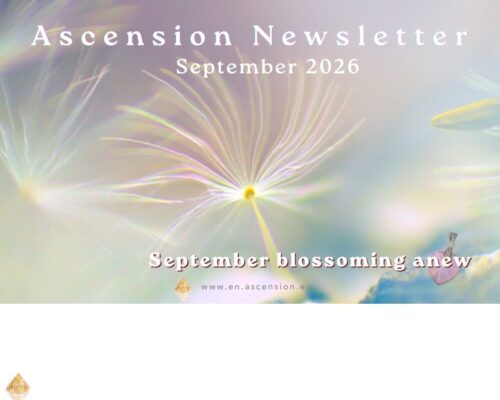 NL-Sept- intern NL-Sept- intern